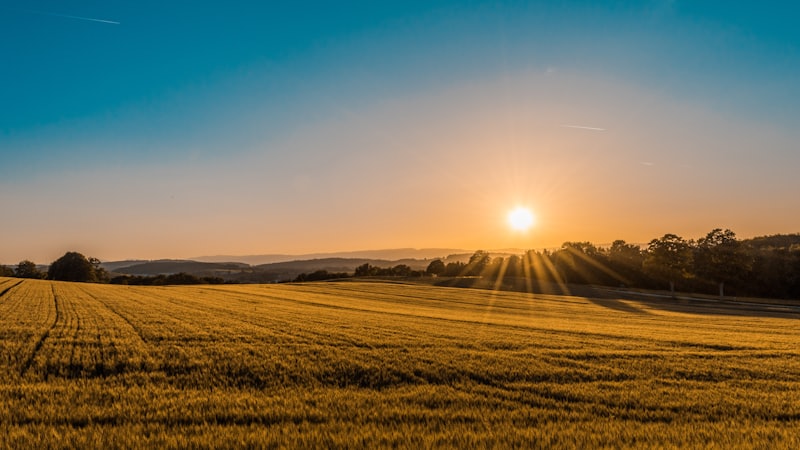 Mason County acreage
